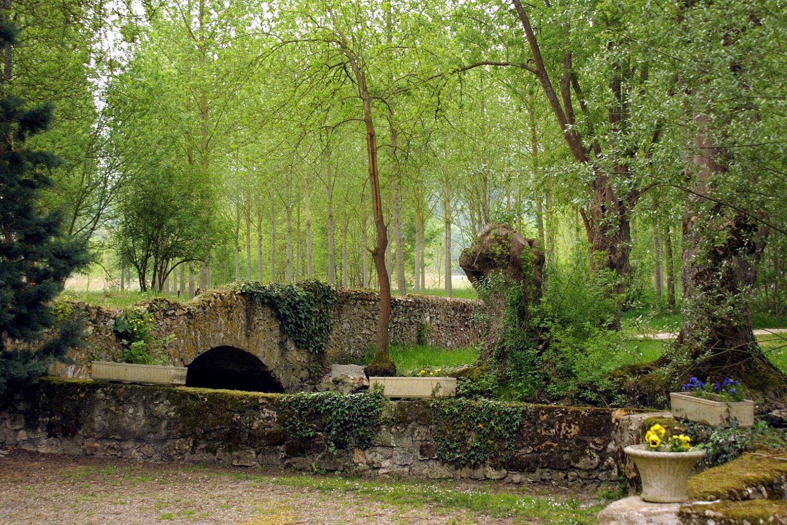 Veigné - Lieu-dit le Moulin Fleuri - Valle della Loira (2002)