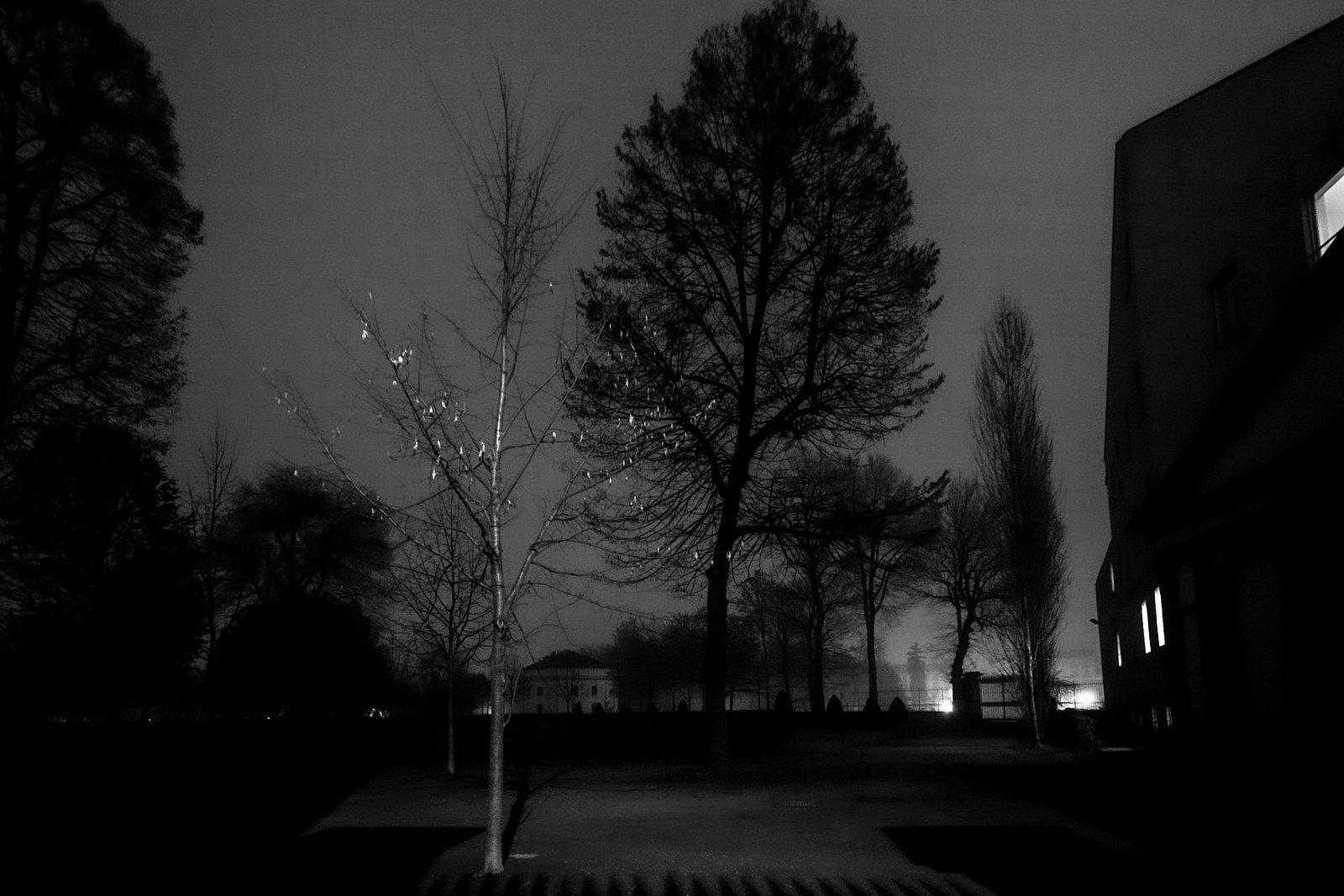 2006/12 - Torino Cavallerizza Via Rossini - Turin Night Light
