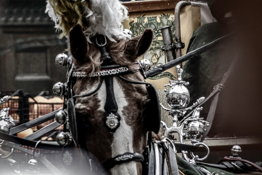 Ivrea (TO) - Storico Carnevale - 2023 - Ivrea (TO) Battaglia delle arance