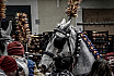 Ivrea (TO) - Storico Carnevale - 2023 - Ivrea (TO) Battaglia delle arance