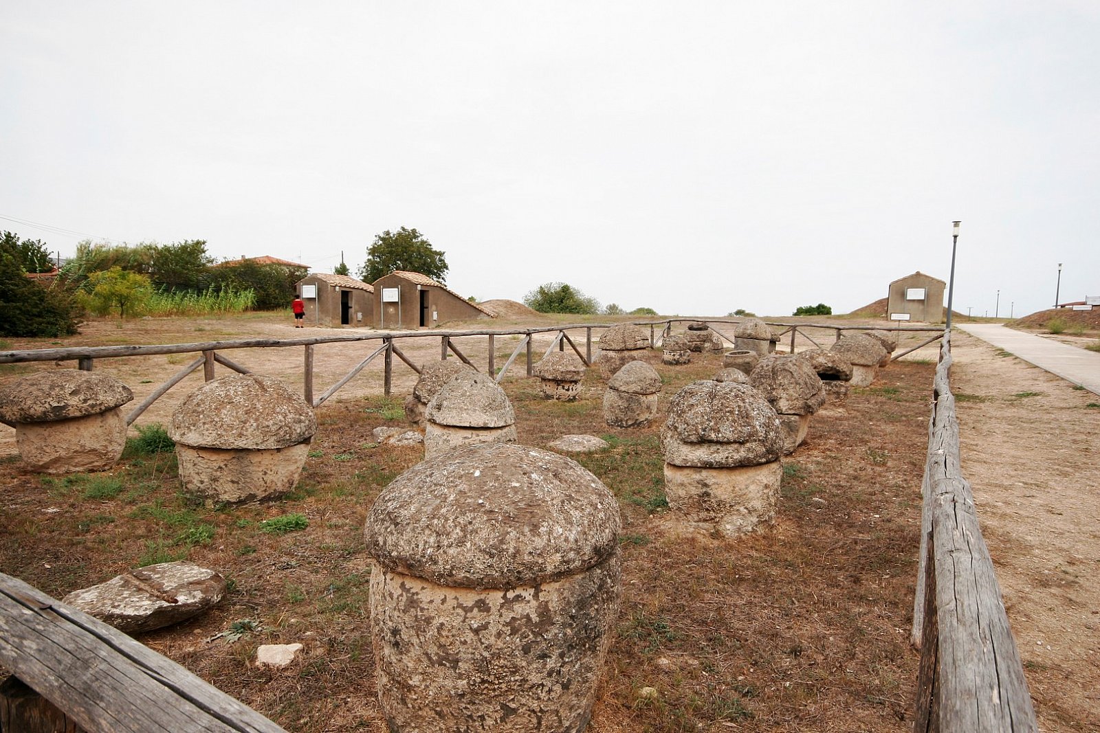 Tarquinia (VT) - Necropoli Etrusca - 2021 - Tarquinia (VT)