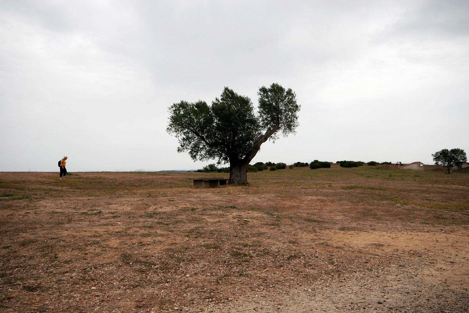 Tarquinia (VT) - Necropoli Etrusca - 2021 - Tarquinia (VT)
