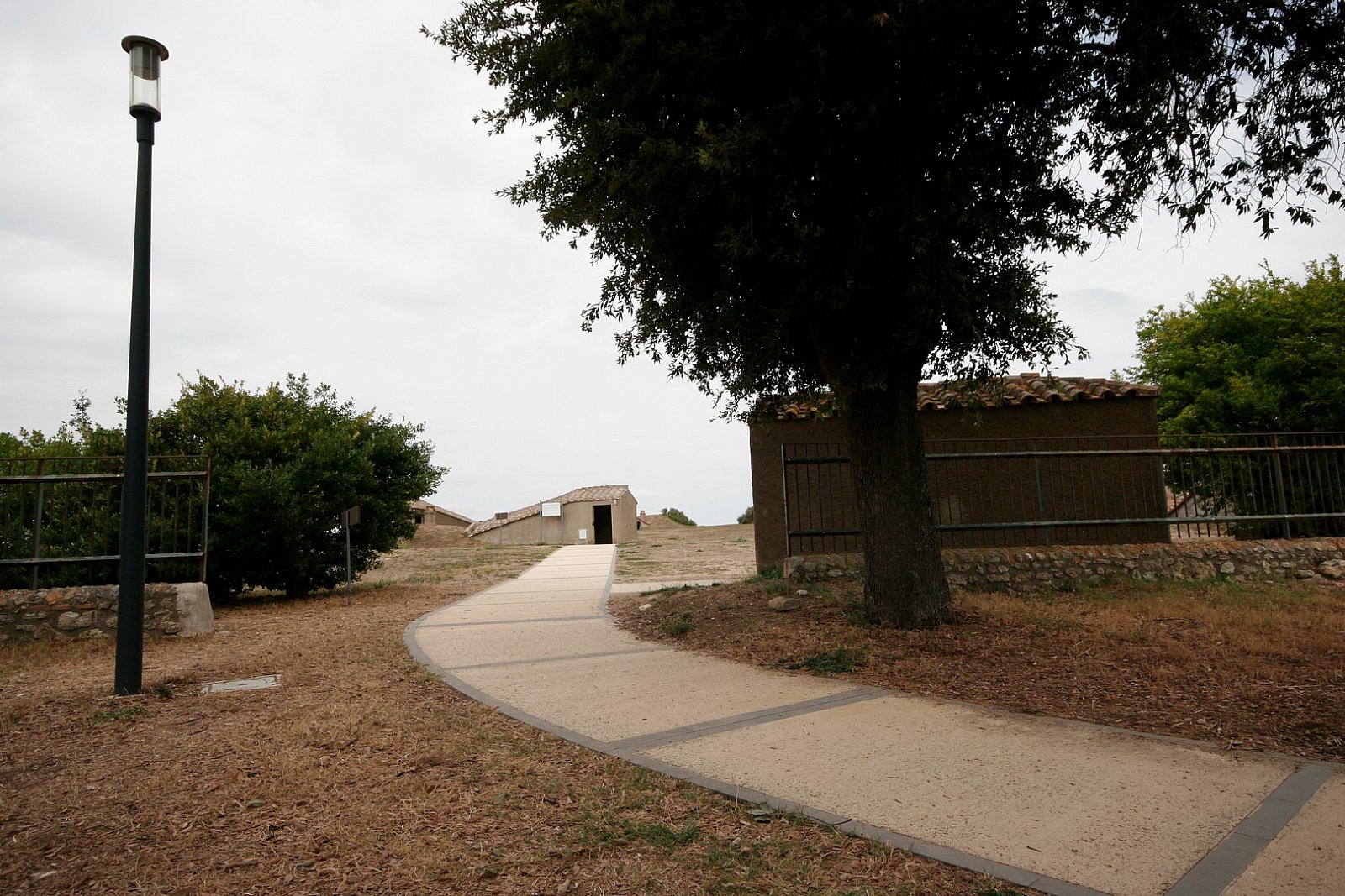 Tarquinia (VT) - Necropoli Etrusca - 2021 - Tarquinia (VT)