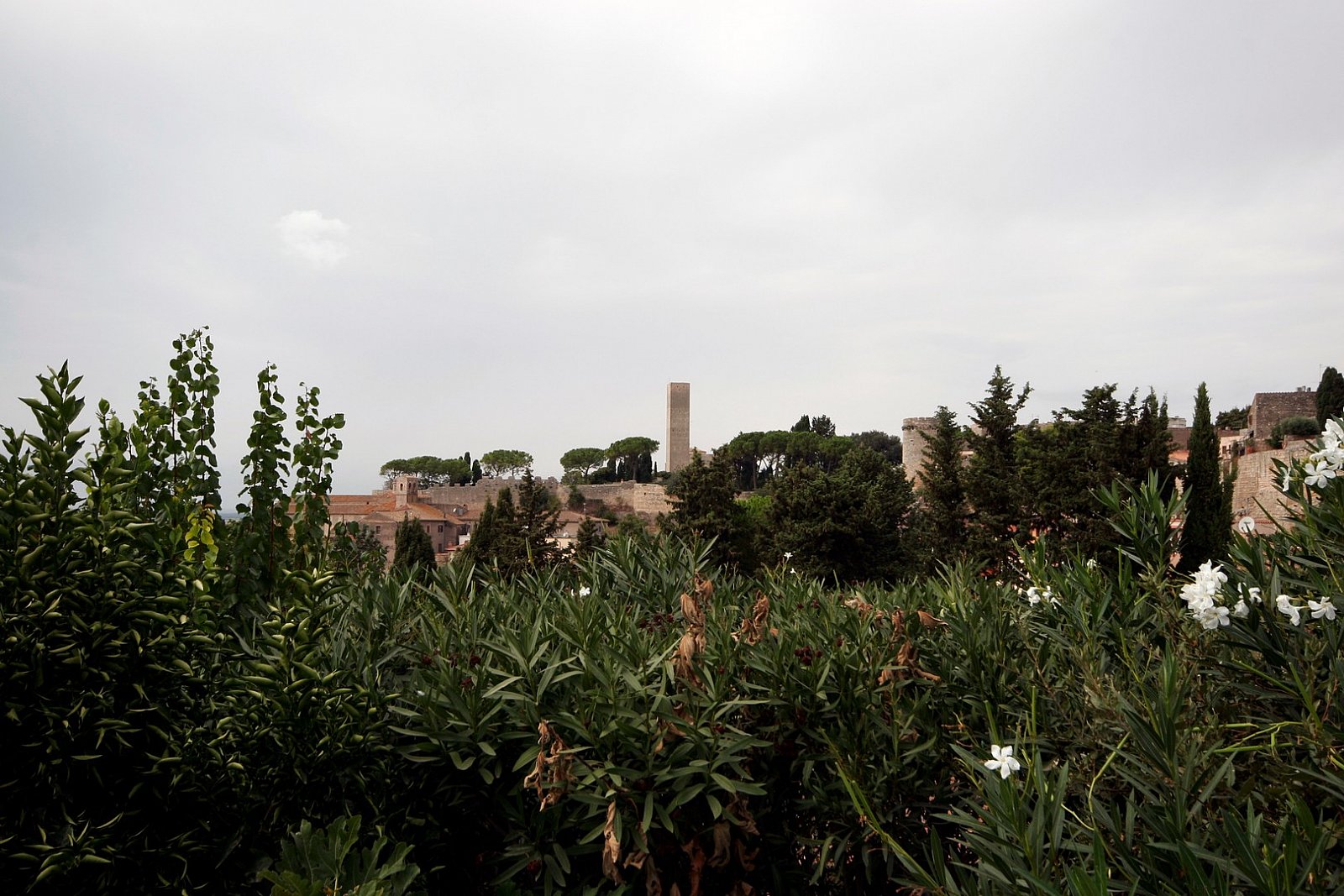 Tarquinia (VT) - 2021 - Tarquinia (VT)