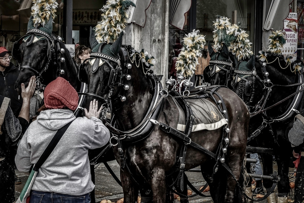 Ivrea (TO) - Storico Carnevale - 2023 - Ivrea (TO) Battaglia delle arance