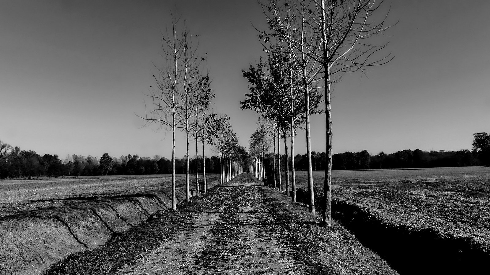 2022 - Chivasso (TO) SP87 - PORTPHOTO B&W